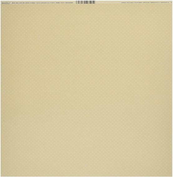 Bazzill Basics Paper ScrapBooking Sheets Dotted SandBox, Beige