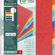Exacompta Dividers, A4 maxi, 225gsm, 12 part - Multi-coloured