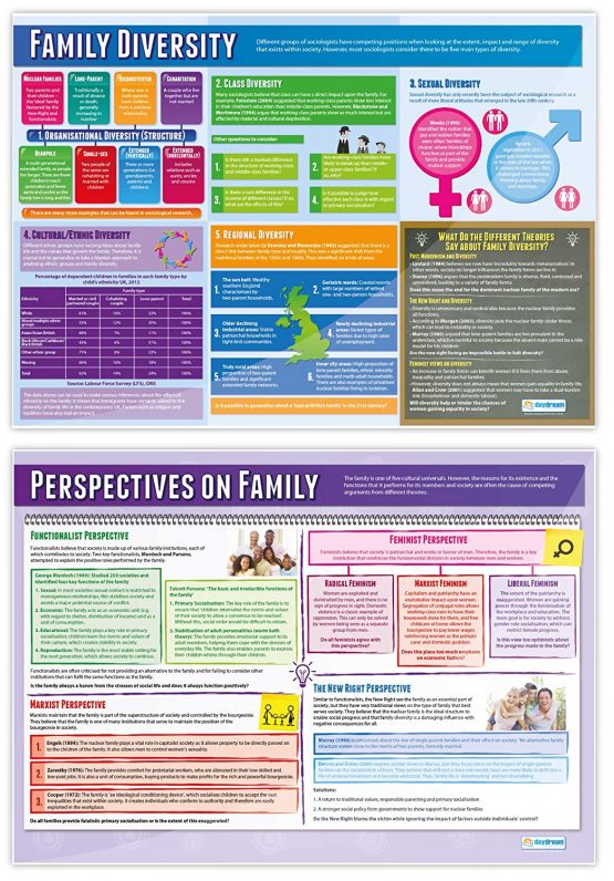 Family Diversity Posters - Set of 5 | Sociology Posters | Laminated Gloss Paper measuring 850mm x 594mm (A1) | Sociology Class Posters | Education Charts by Daydream Education - Image 3