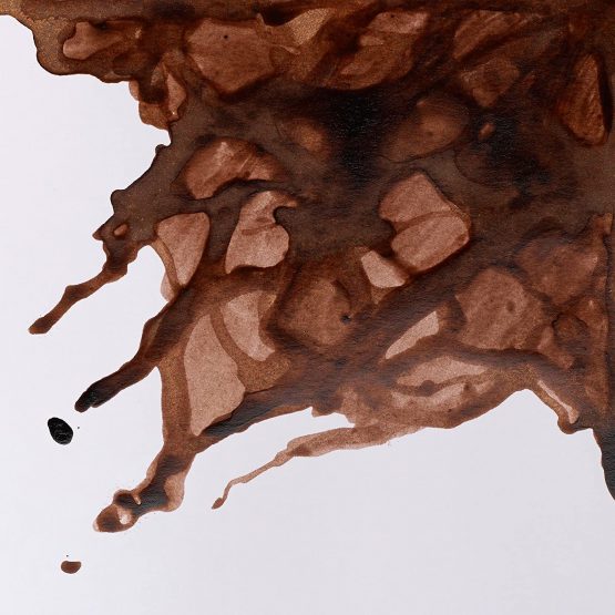 Winsor & Newton 14ml Drawing Ink Bottle - Peat Brown - Image 2