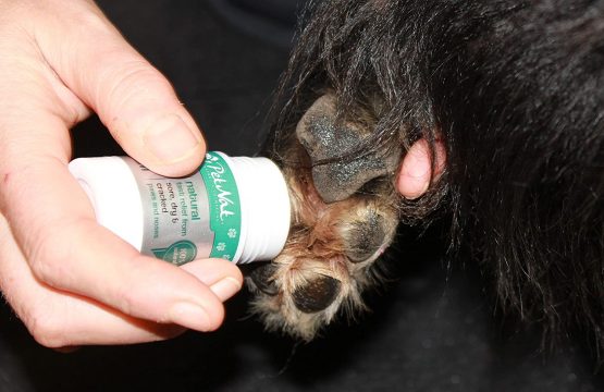 Paw and Nose Rescue Balm - Fast relief for sore, dry & cracked paws & noses - Image 2