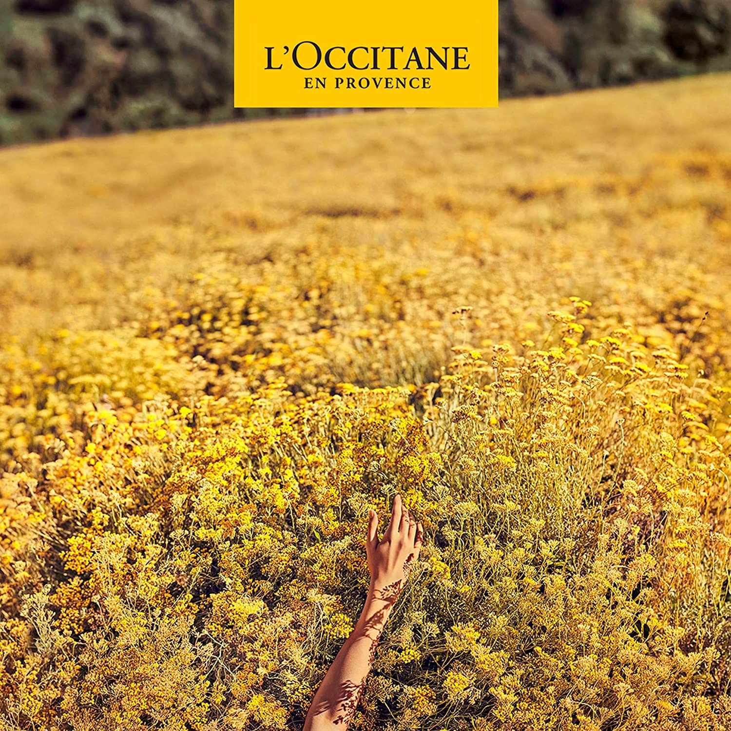 L'OCCITANE EN PROVENCE - Haute-Provence Lavender Bath Mousse - 500 ml, Klar, 500 ml (Pack of 1) - Image 2