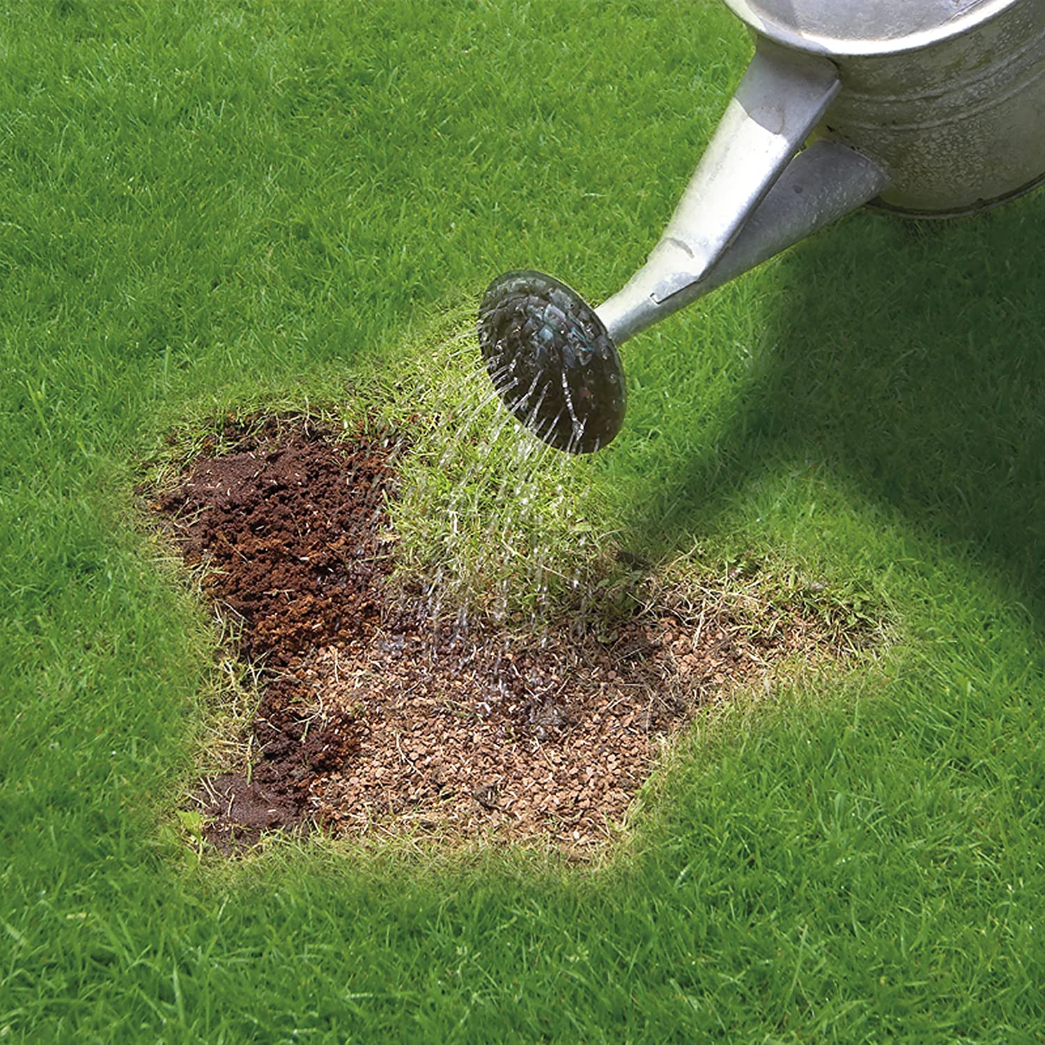 Miracle-Gro Patch Magic Grass Seed, Feed and Coir 3.6 kg - 48 patches, 3.5 kg - Image 2