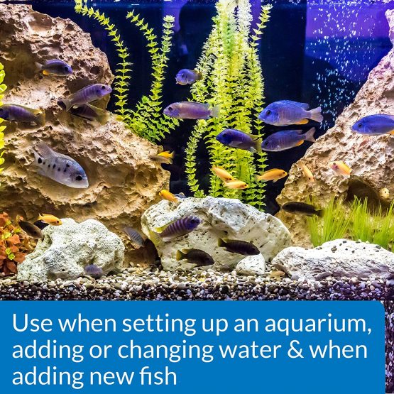 API QUICK START Freshwater and Saltwater Aquarium Nitrifying Bacteria 118 ml Bottle - Image 2