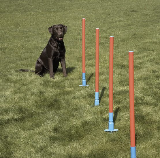 Rosewood Dog Agility Slalom includes Bag - Image 2