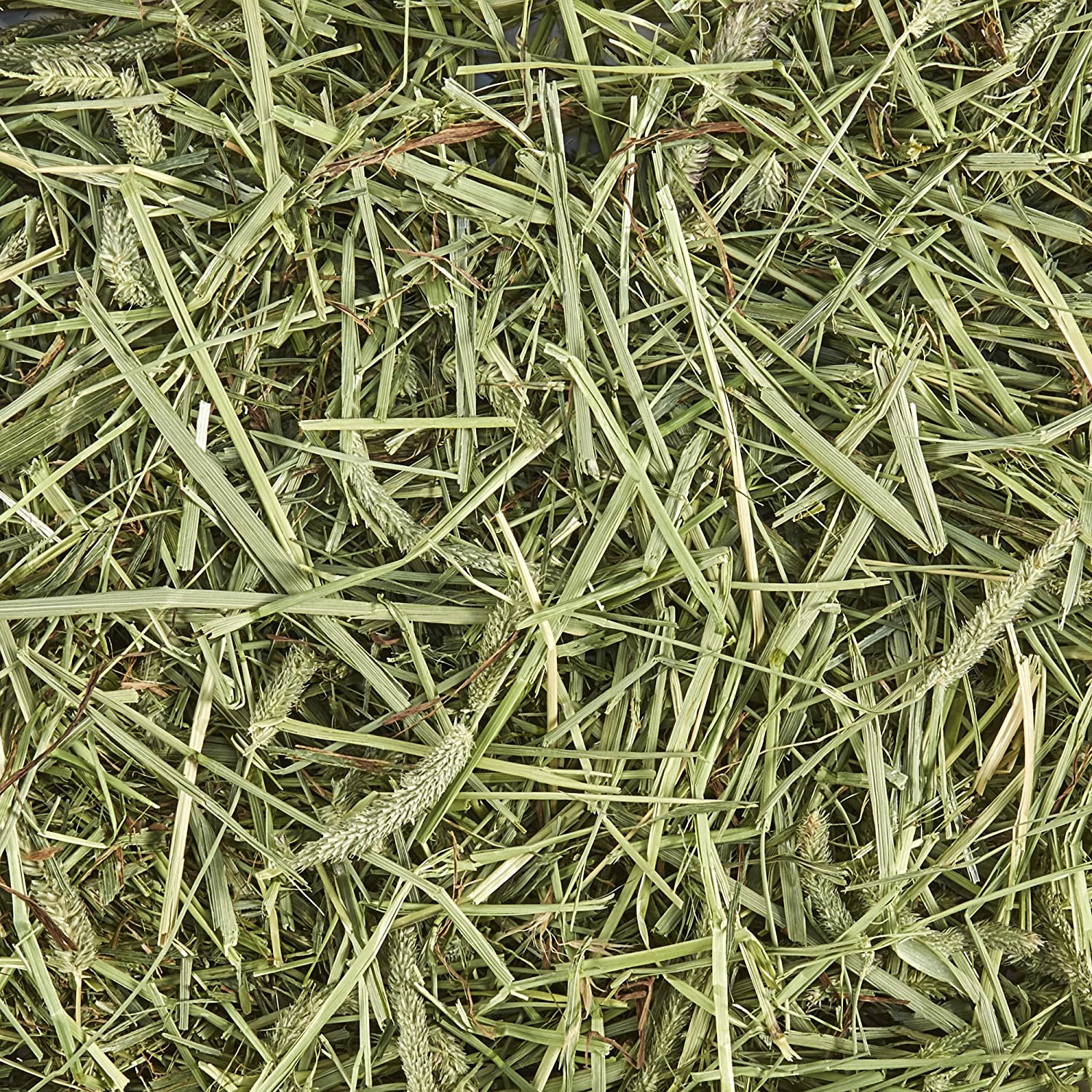 Kaytee Natural Timothy Hay Mini Bales High Fibre Food, 680 g, Green, 680.4 g (Pack of 1) - Image 4
