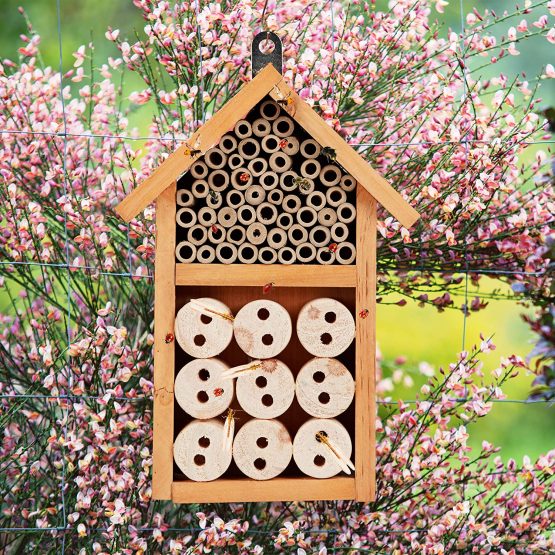 Relaxdays Insect Hotel Assembly Kit, Shelter for Bugs, Bees & Lacewings, Build Your Own, 26 x 16 x 6 cm, Yellow - Image 2
