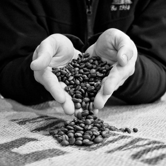 Coffee World | Mexico Decaf Chemical-Free Mountain Water Process Single Origin UK Roasted Coffee - Brewing for Cafés, Businesses, Shops & Home (Coffee Beans 1KG) - Image 3
