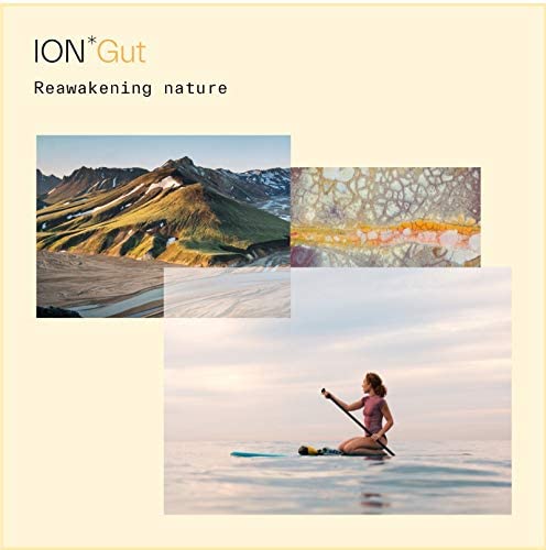 ION Gut Health Supplement 946ml, 946 ml - Image 2