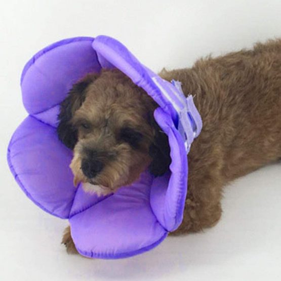 Balacoo Pet Recovery Collar Adjustable Dog Cone Collar Soft Collar for Cats - Elizabethan Collars Dog Cones After Surgery for Dogs Cats Pets (Purple) - Image 4