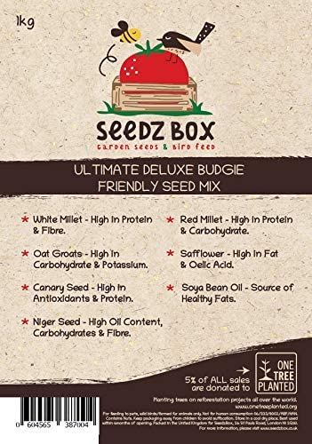 Budgie Food Seed Feed Mix 1kg, Natural Healthy Treats and Snacks for Pet Budgerigars, SeedzBox, Red Millet - Image 2