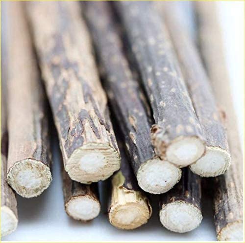 TIGA Toys 10 x Silvervine Sticks Actinidia Polygama Activity Cat Chew Sticks aka Matatabi (10 Sticks) Cat Nip alternative