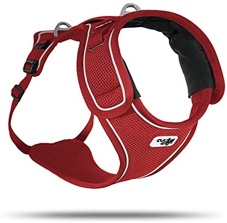 Belka Harness Red XL