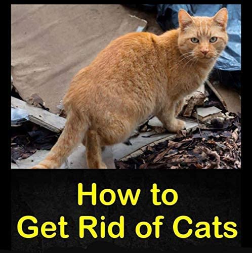 Cat And Dog Repellent 240G. Animal Repellent. The Humane Treatment, Deterrent for Gardens. 100% Natural And Non Toxic - Image 2