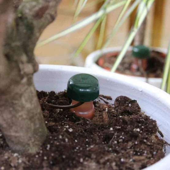 Blumat Water Dispenser for Indoor Plants - Pack of 25 - Image 4