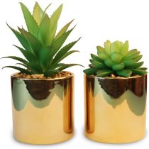 HelaCueil Artificial Succulent Plants in Stoneware Ceramic Planters Pots - Set of 2