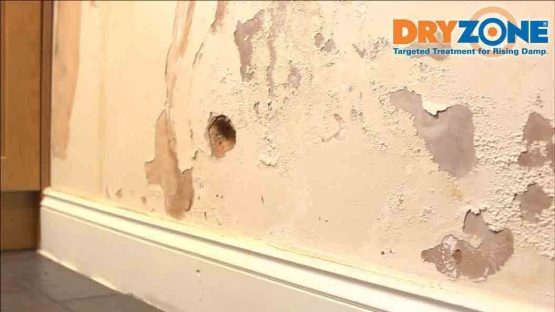 Dryzone Damp Proofing Kit Damp Proofing Cream + Cox Mastic Gun + Dryzone Drill Bit (Rising Damp Treatment) (Pack of 5) - Image 2