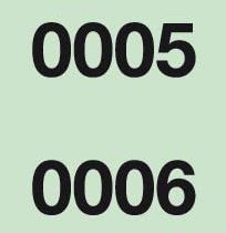 APLI 12939 Rifa Strip Luministas, 1,000 Numbers