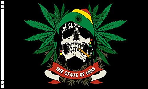 AZ FLAG, Rasta Pirate Skull Flag, 3x5 Ft, 100D Polyester Rasta Pirates Banner with Two Metal Grommets, Fade Resistant