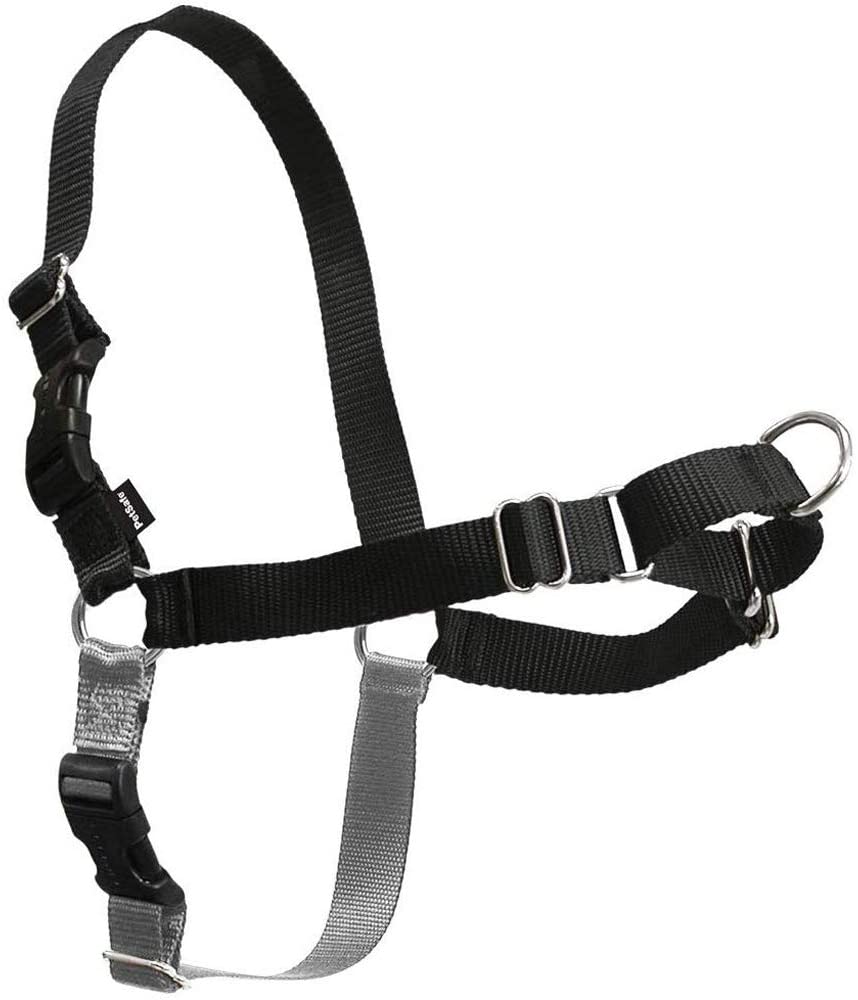PetSafe Easy Walk Harness, No-Pull Walking Harness for Dogs Adjustable Fit, Includes 1.8m Lead, Medium/Large-Black