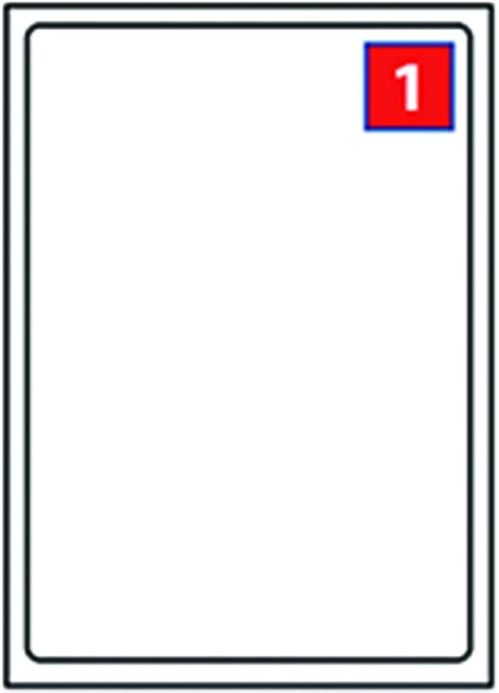 EJRange 1 Label per A4 Sheet, A4 Full Sheet Labels, 100 Sheets Self Adhesive Printable Mailing and Shipping Labels
