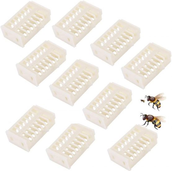 Nuluxi White Plastic Bee Queen Cages Beekeeping Rearing Plastic Cages Kit Queen Bee Catcher Beekeeping Tools Accessories Transporting Catcher Beekeeper Beekeeping Useful and Practical Tool (10 Pieces)