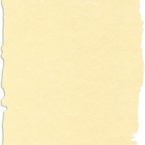Apli SCL2058D 10 Sheets of Parchment Paper A4 Format Champagne