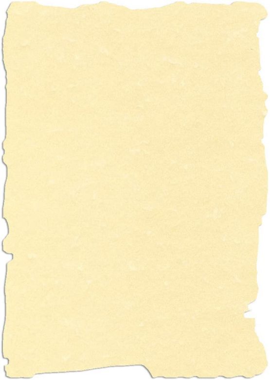 Apli SCL2058D 10 Sheets of Parchment Paper A4 Format Champagne