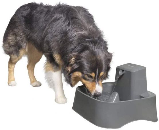 PetSafe Drinkwell Dog and Cat Water Fountain, Suitable for Large Dog Breeds and Multiple Pet Households, Easy-to-clean Design, Filter Included, 7.5 Litres - Image 3