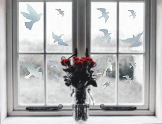 Muttfy Anti-Collision Window Alert Bird Stickers to Prevent Bird Strikes on Window Glass Door (Set of 12 Silhouettes Transparent) - Image 3