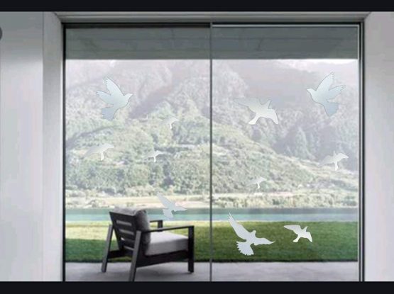 Muttfy Anti-Collision Window Alert Bird Stickers to Prevent Bird Strikes on Window Glass Door (Set of 12 Silhouettes Transparent)