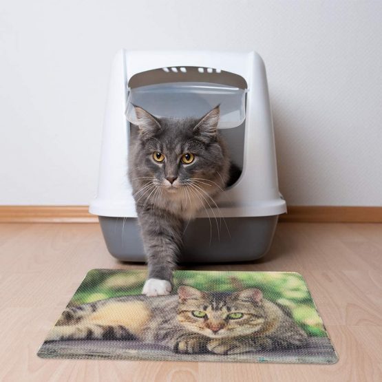 Cat Litter Mats Waterproof Nonslip Pet Animal Feeding Mat PVC Food Mat