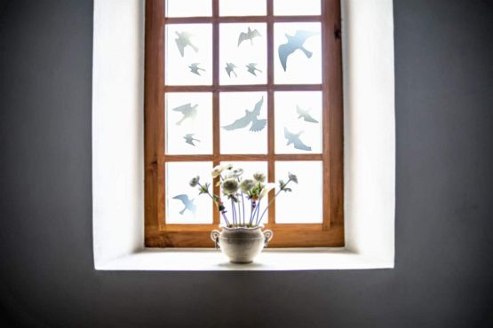 Muttfy Anti-Collision Window Alert Bird Stickers to Prevent Bird Strikes on Window Glass Door (Set of 12 Silhouettes Transparent) - Image 4
