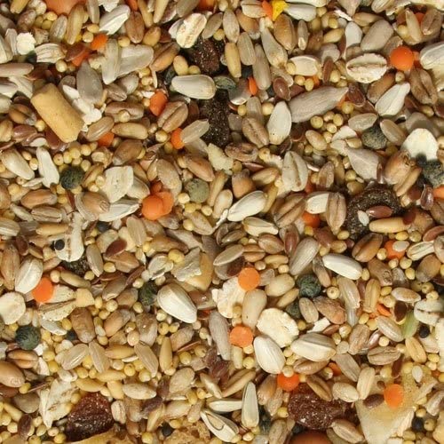 Parrot Essentials Tidymix Manifuctured Premium Quality Parakeet Diet Seed Blend (2.3 kg) - For Small Parots & Birds