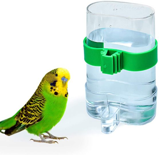 COCOCITY Pet Bird Supplies Feeders Parrot Water Dispenser Automatic