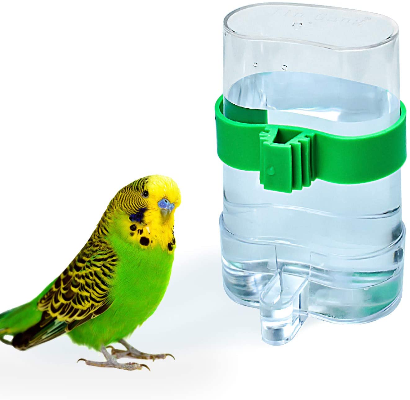 COCOCITY Pet Bird Supplies Feeders Parrot Water Dispenser Automatic