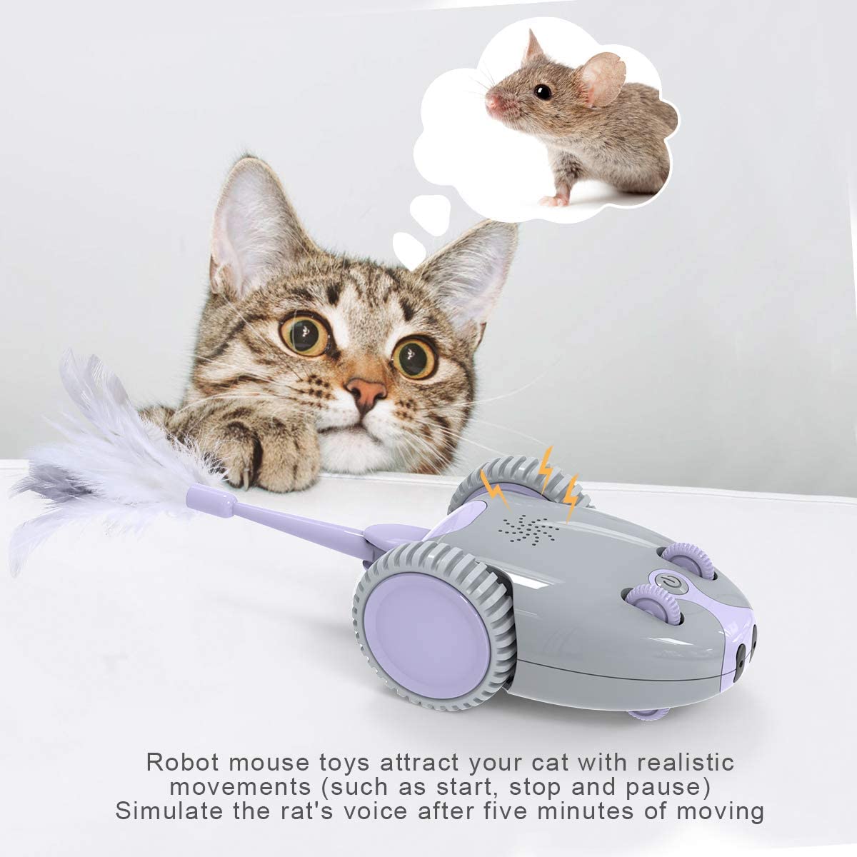 dadypet cat laser toy