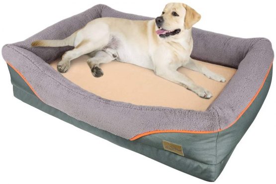 Bingopaw Large Memory Foam waterproof Dog Bed, Fleece Soft Couch Dog Bed Comfortable Pet House Bed with Cotton-padded Bolster and Removable Cover