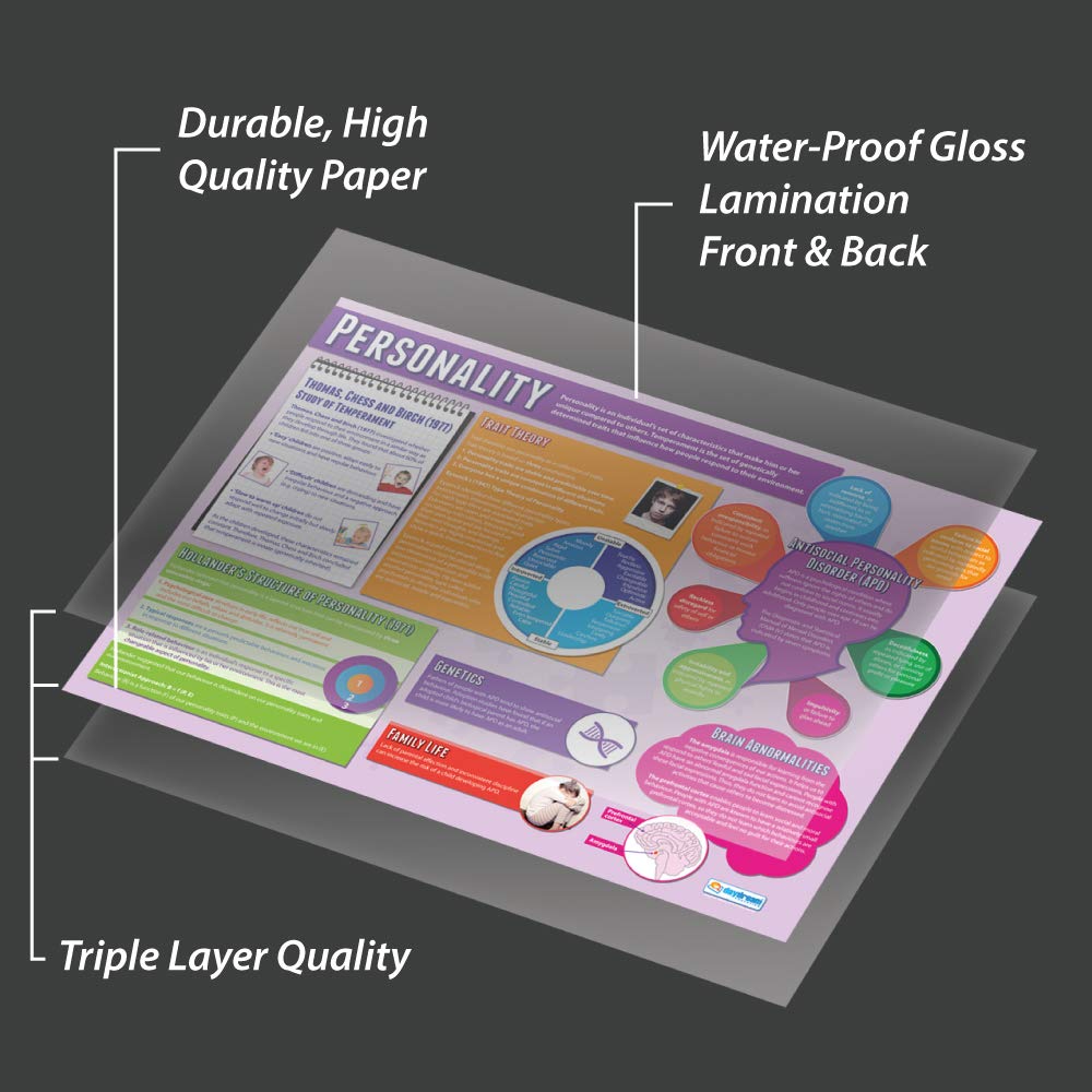 Daydream Education Personality, 85L x 59.4W cm - Image 3