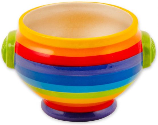 Hand Painted Rainbow Stripe Ceramic Soup Bowl (1)