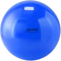 GYMNIC Body Ball diameter 95 cm for physiotherapy and training with high elasticity and safety, resistant up to 120 kg