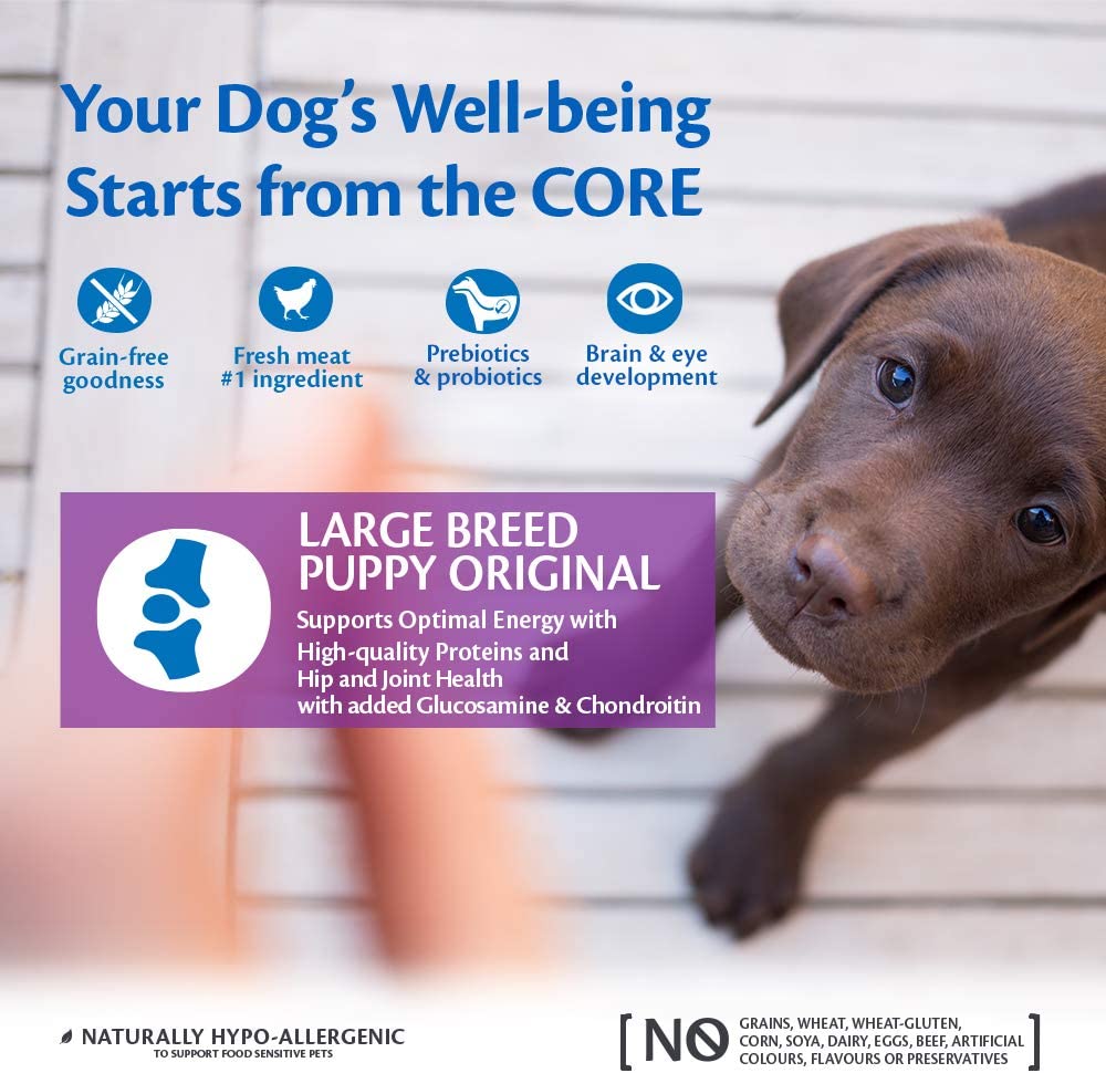 Wellness CORE Puppy 10 kg, Chicken, Dry Dog Food for Large Breed Puppies Grain-Free, Natural, Hypoallergenic, Protein-Rich - Image 4