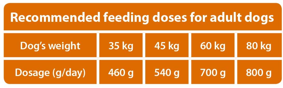 The Hunger of the Wolf Dry Dog Food - for Large or Giant Breeds Formula Good for Joint Health with Chicken Adult - 14 kg - Image 4