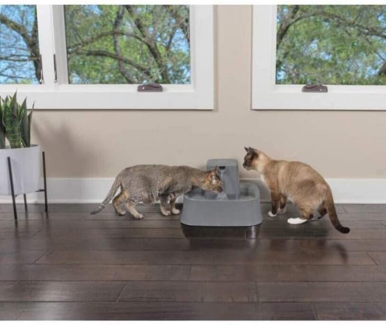 PetSafe Drinkwell Dog and Cat Water Fountain, Suitable for Large Dog Breeds and Multiple Pet Households, Easy-to-clean Design, Filter Included, 7.5 Litres - Image 2