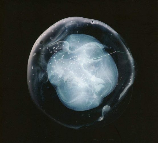 The Undivided Five - Image 2