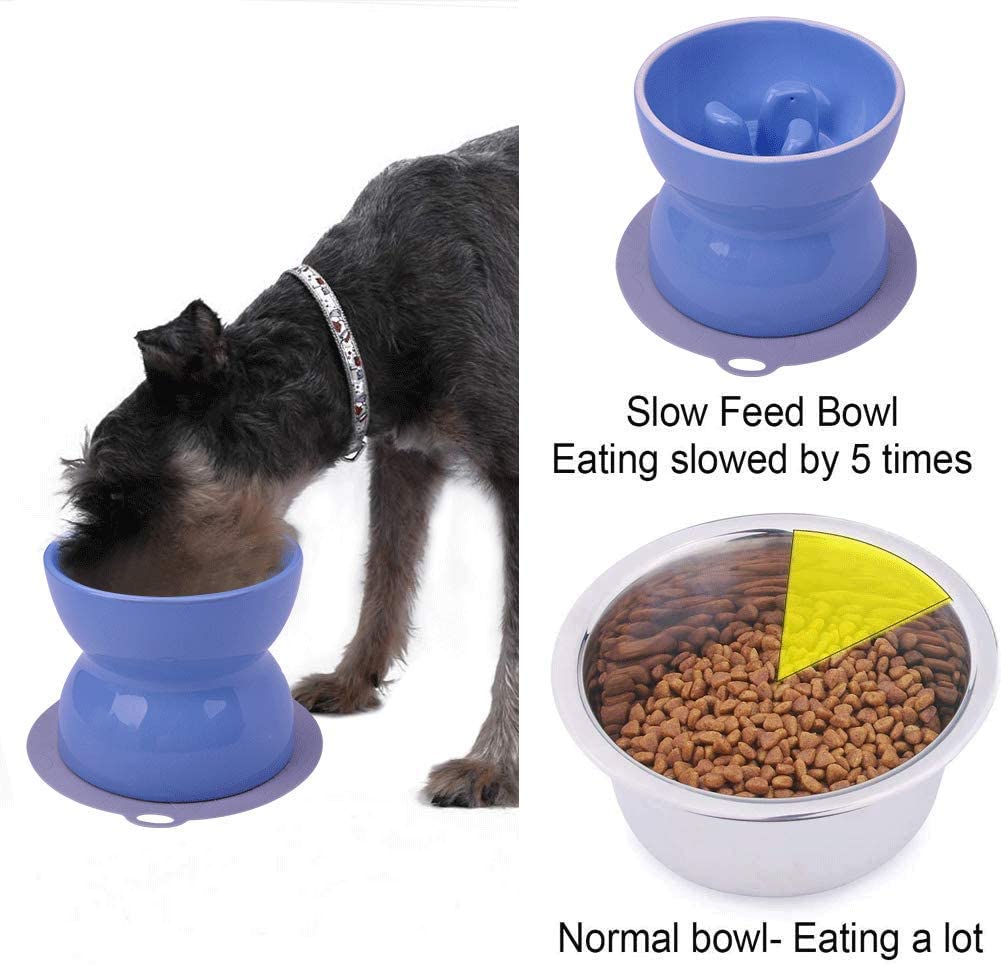 SUPER DESIGN Ceramics Raised Slow Feeder Dog Bowl & Silicone Mat Set ...