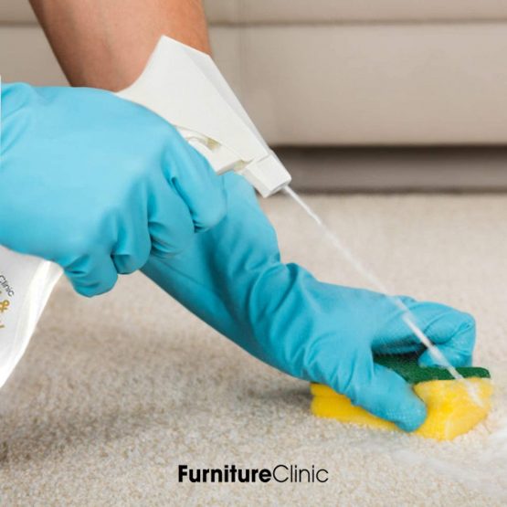 Furniture Clinic Stain & Odour Eliminator For Dogs, Cats, Pets & and