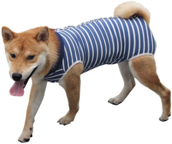 TOPAUP Dog Recovery Suit Post Surgery Bodysuit Puppy Medical Vest Dog Surgical Suit after Neutering Wound Protector for Dogs Size L - Image 4