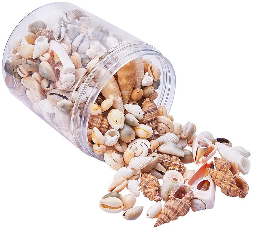 PandaHall Elite about 180pcs Trumpet Shell Beads, Dyed Natural Seashell Charms for Pendant DIY Craft Making Home Party Decoration, Mixed Shapes, Mixed Color