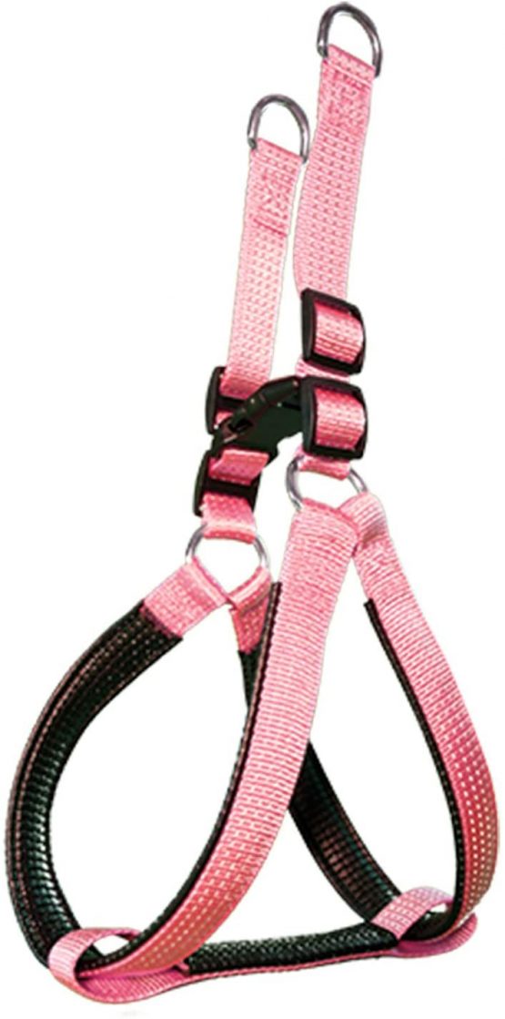 Arquivet 8435117896291 – Band Nylon Smooth Pink 2 X 4555 cm